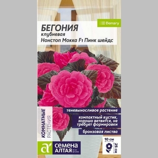 Бегония Нонстоп Мокка F1 Пинк шейдс клубневая