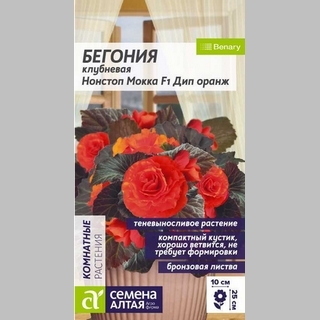 Бегония Нонстоп Мокка F1 Дип Оранж клубневая