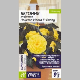 Бегония Нонстоп Мокка F1 Еллоу клубневая
