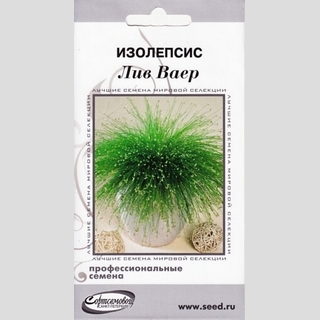 Изолепсис Лив Ваер