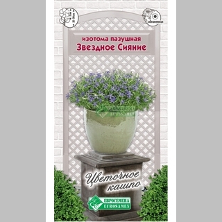 Изотома Звездное Сияние (пазушная)