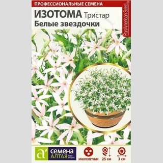 Изотома Тристар Белые звездочки