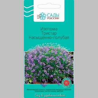 Изотома Тристар Насыщенно-голубая