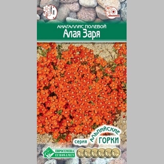 Анагаллис Алая заря (полевой)