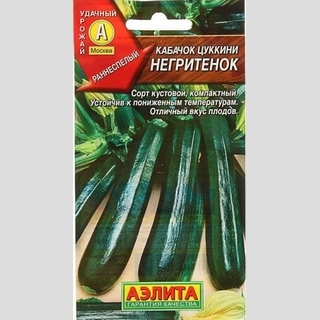 Кабачок Негритенок