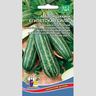 Кабачок Египетская Сила