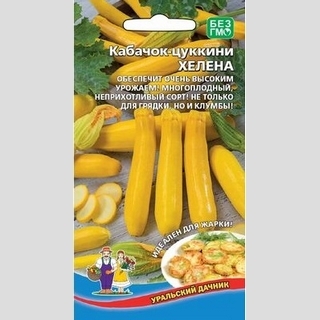 Кабачок Хелена