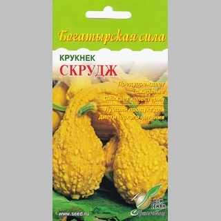 Кабачок Крукнек Скрудж