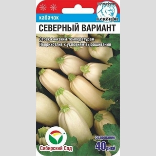 Кабачок Северный вариант