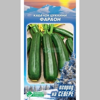 Кабачок Фараон