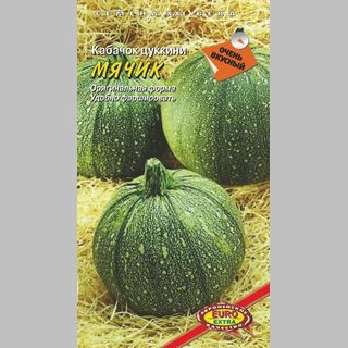 Кабачок Мячик