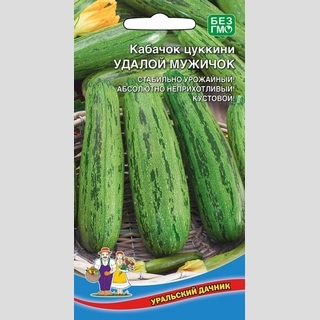 Кабачок Удалой Мужичок