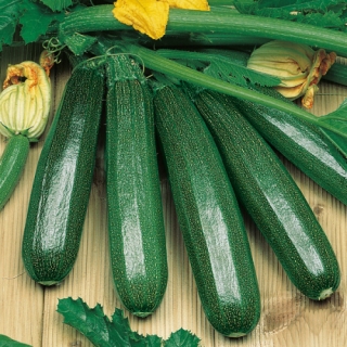 Кабачок Завтрак Нефтяника