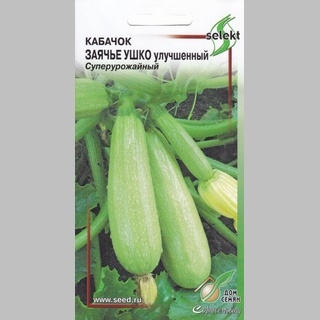 Кабачок Заячье ушко улучшенный