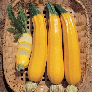 Кабачок Голден Хаус F1