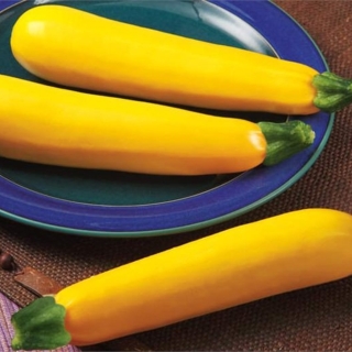 Кабачок Хелена