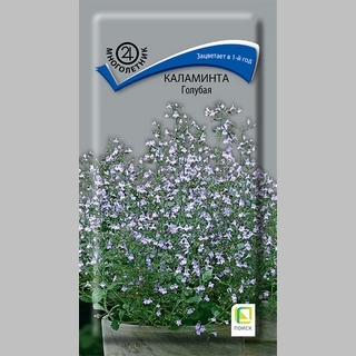 Каламинта Голубая