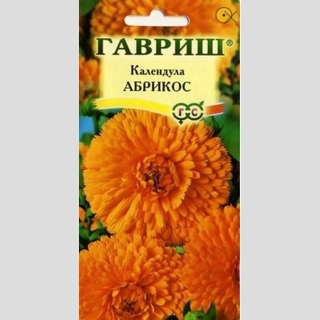 Календула Абрикос