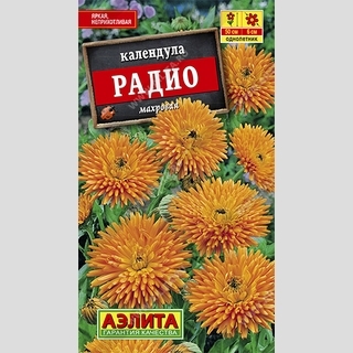 Календула Радио