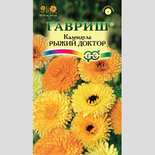 Календула Рыжий доктор