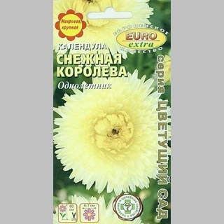 Календула Снежная королева