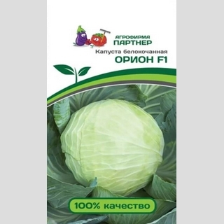 Капуста Орион F1