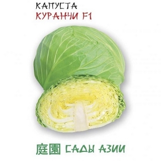 Капуста Куранчи F1