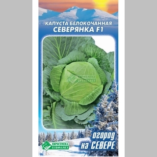 Капуста Северянка F1