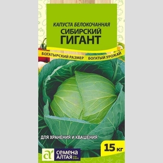 Капуста Сибирский Гигант