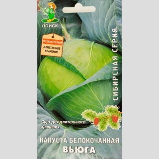 Капуста Вьюга