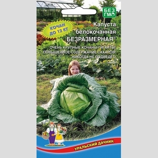 Капуста Безразмерная