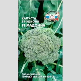 Капуста Мадонна F1 (брокколи)