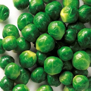 Капуста Командор