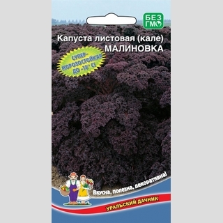 Капуста Малиновка (листовая)