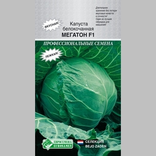 Капуста Мегатон F1