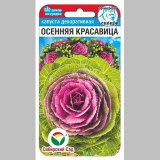 Капуста Осенняя красавица декоративная