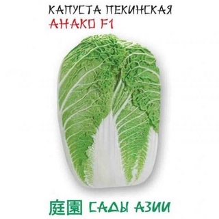 Капуста Анако F1 пекинская