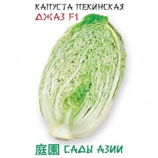 Капуста Джаз F1 пекинская