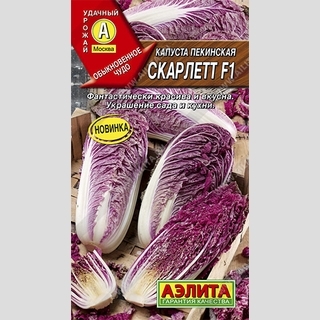 Капуста Скарлетт F1 (пекинская)