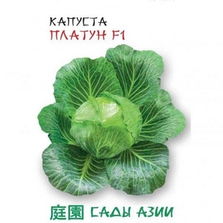Капуста Платун F1