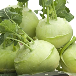 Капуста Повариха