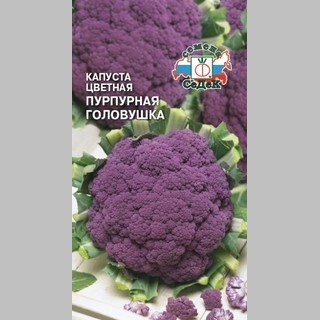 Капуста Пурпурная головушка цветная