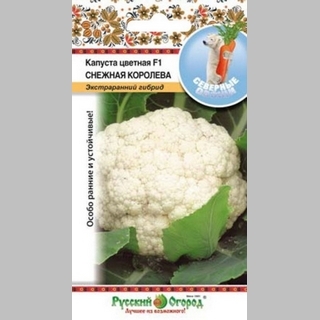 Капуста Снежная королева F1 (цветная)