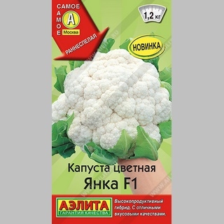 Капуста Янка F1