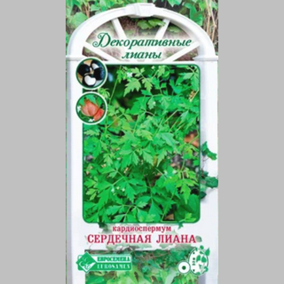 Кардиоспермум Сердечная лиана
