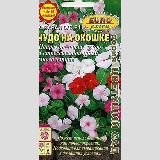 Катарантус Чудо на окошке F1 (барвинок)