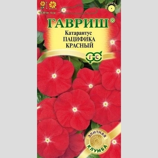 Катарантус Пацифика Красный