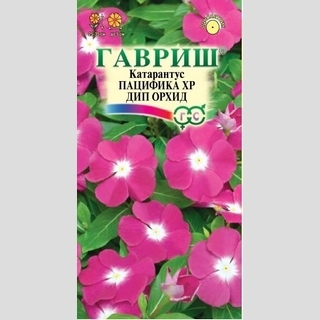 Катарантус Пацифика XP Дип Орхид