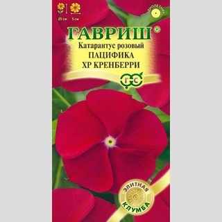 Катарантус Пацифика XP Кренберри