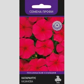 Катарантус Казанова